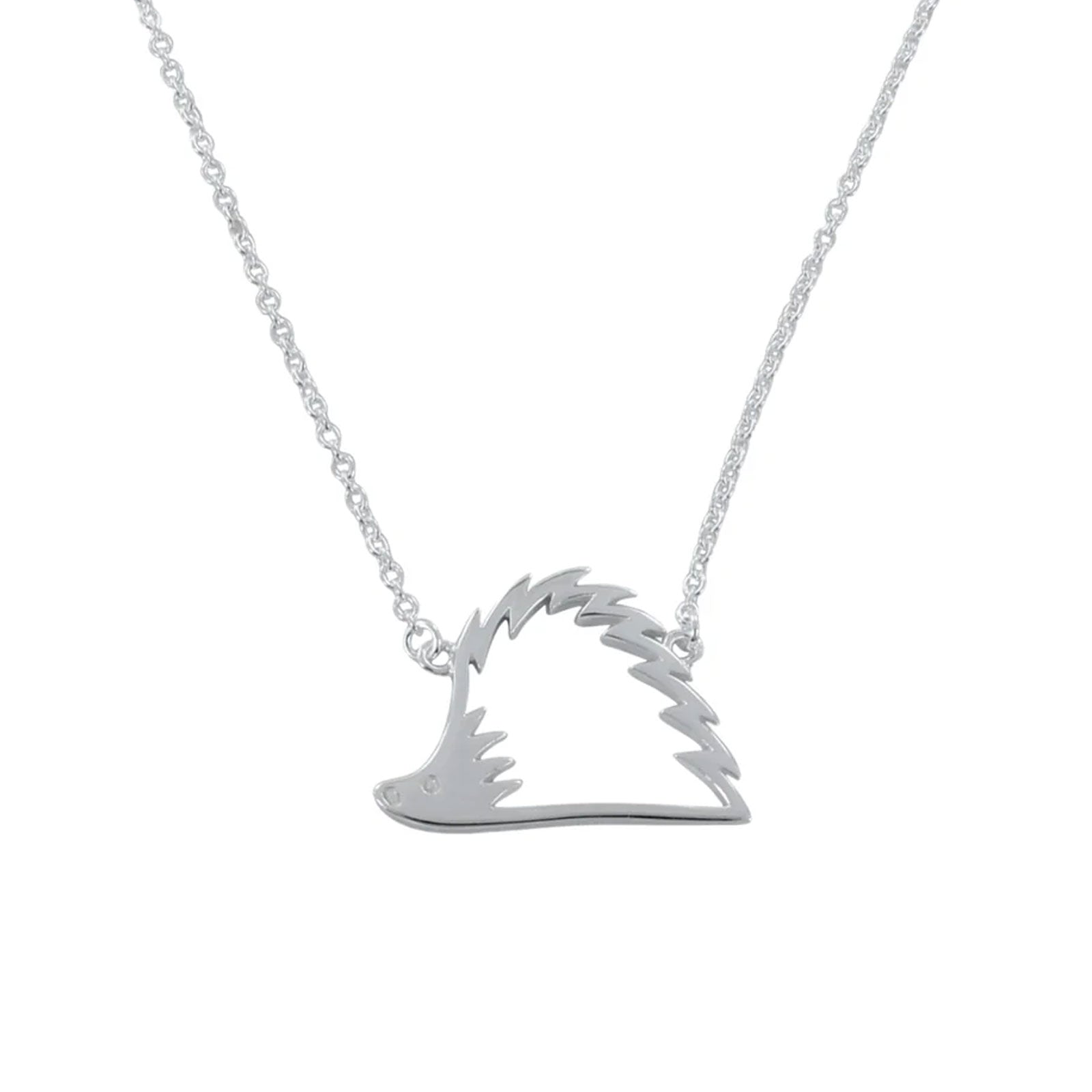 Silver necklace with a unique pendant on a white background
