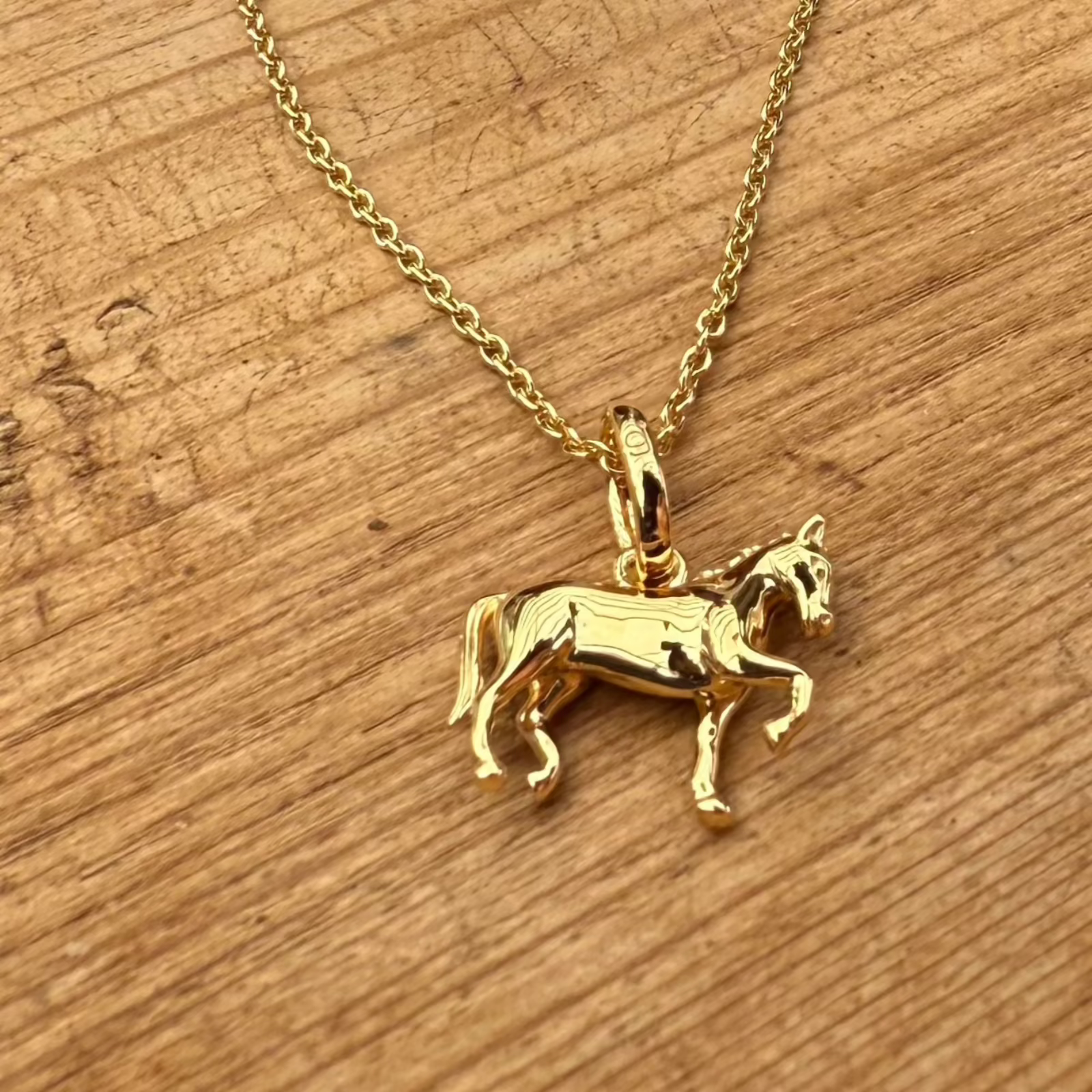 gold-dressage-horse-necklace-cotswold-jewellery