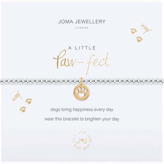 Pawfect Dog Bracelet - Cotswold Jewellery