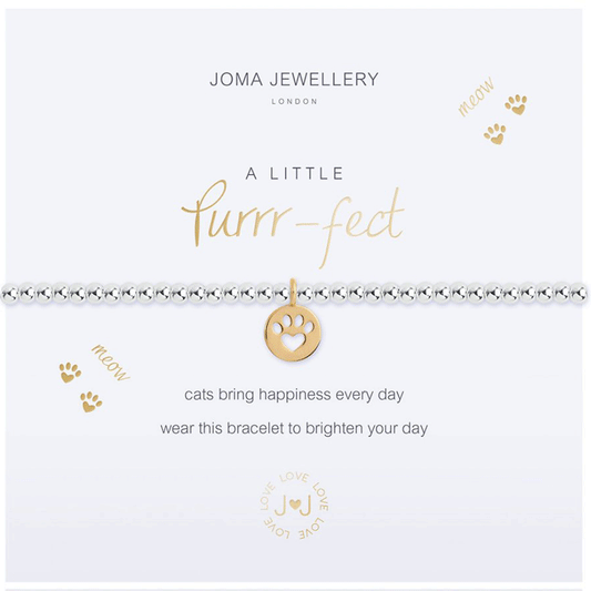 Purrfect Cat Bracelet - Cotswold Jewellery